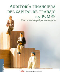 comprar-libro-auditoria-financiera-del-capital-de-trabajo-en-Pymes