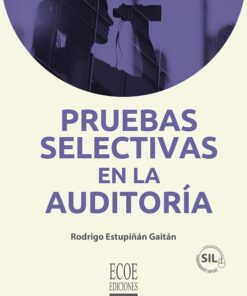 Pruebas selectivas en la auditoría